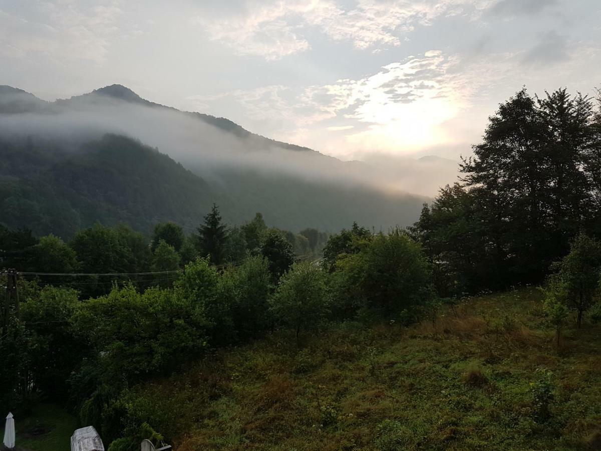 Agroturystyka U Zbyszka Tylmanowa Exteriér fotografie